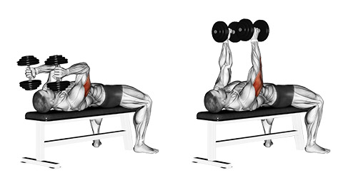Barre Allongé Triceps Extension