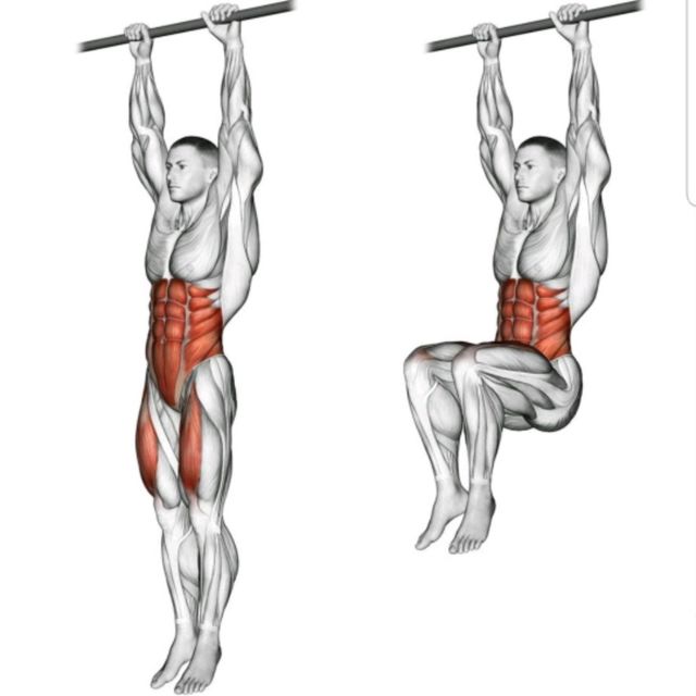 Hanging Knee Élévation
