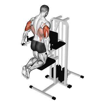 Dips à la machine assistée