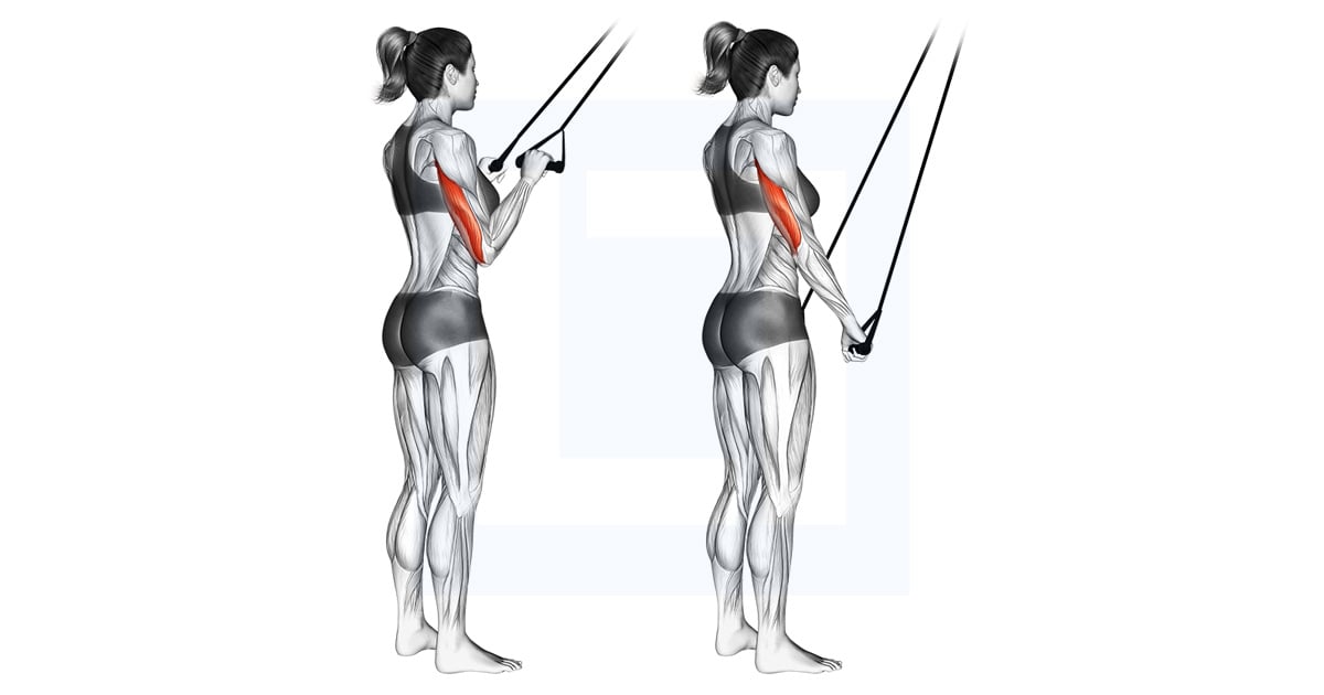 Extension des triceps avec bande élastique