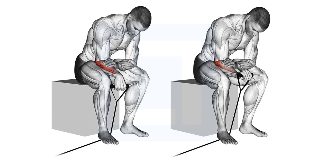 Flexion Inversée Du Poignet Avec Bande Élastique