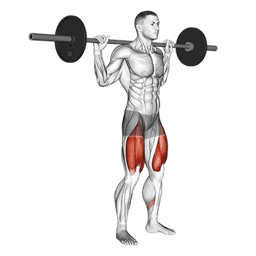 Squat high bar à la barre
