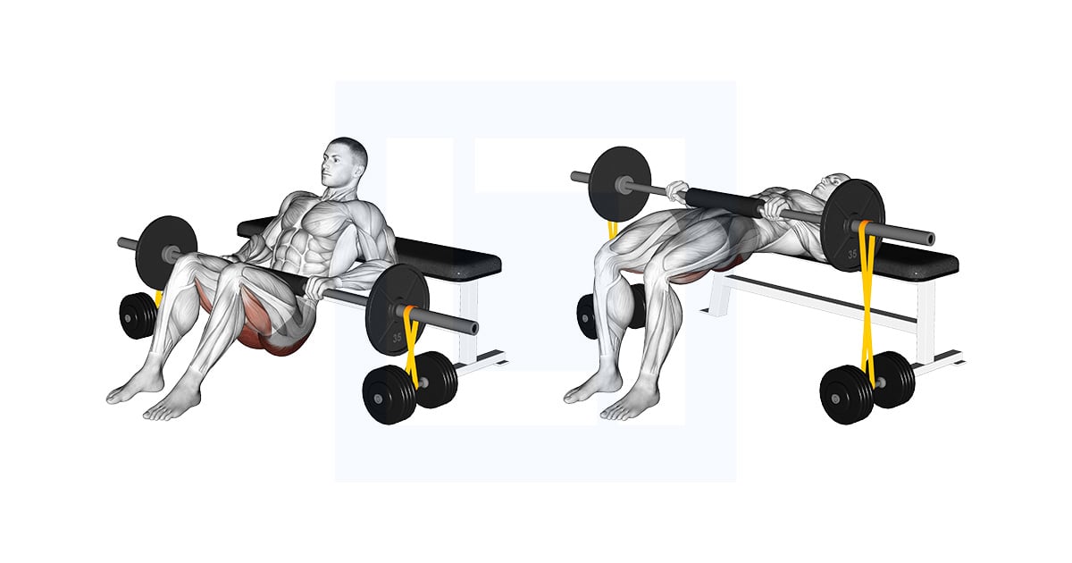 Barbell Hip Thrust With Bande élastique