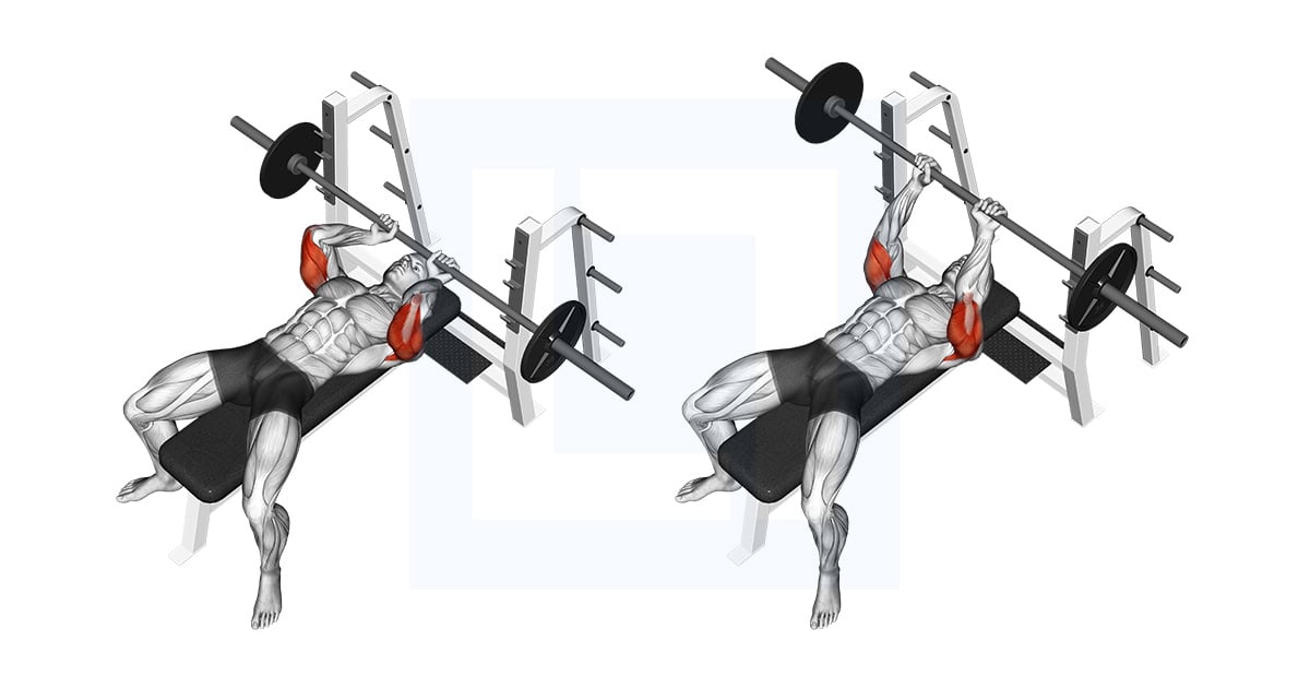 Barbell allongé Extension