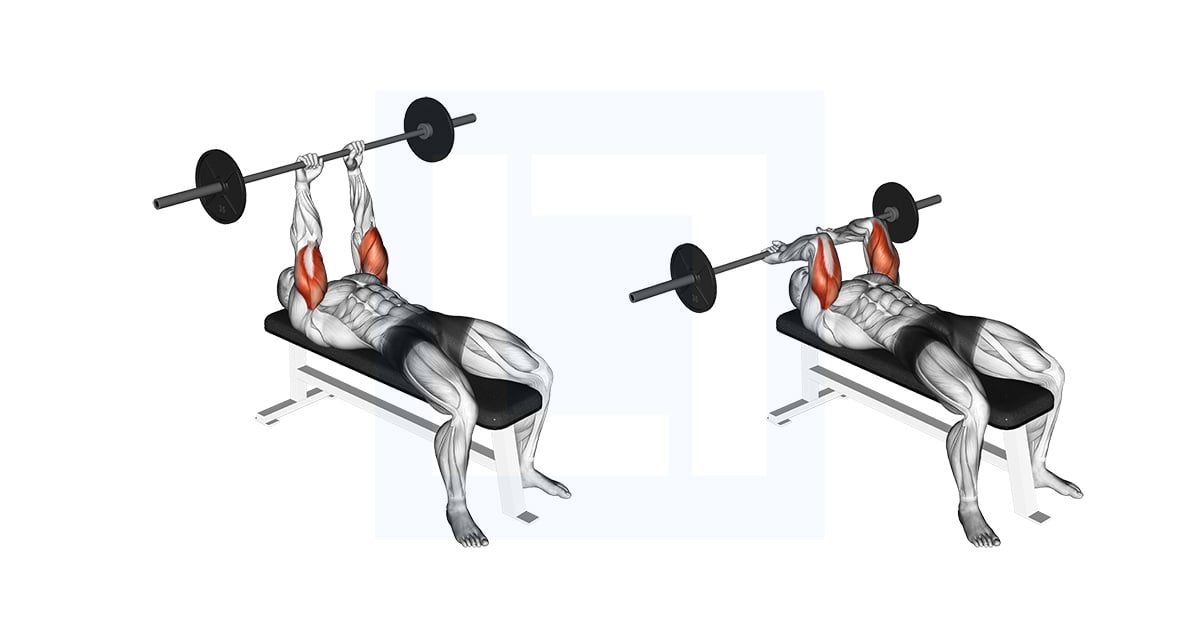 Barbell allongé Triceps Extension