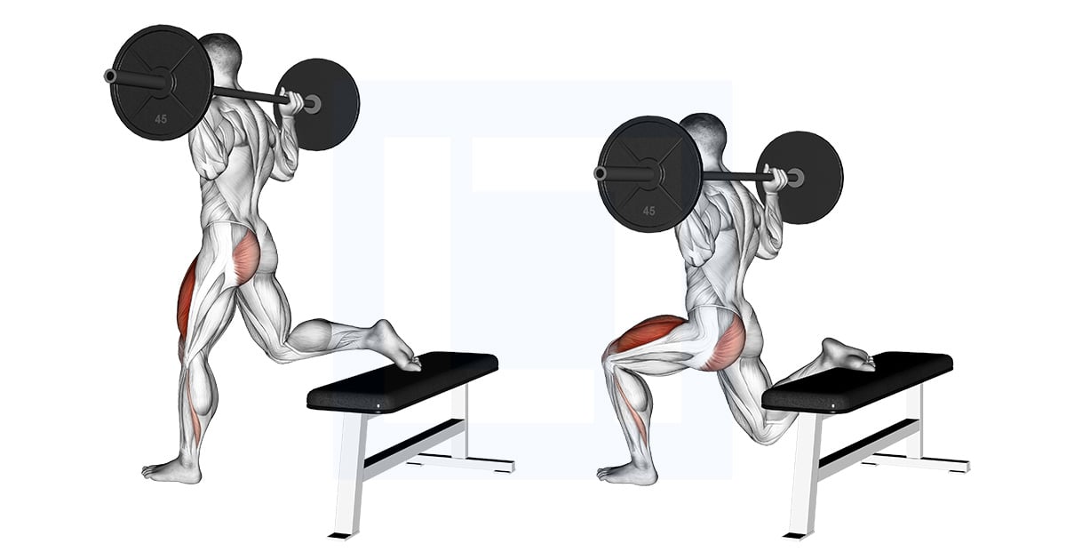 Split squat bulgare à la barre