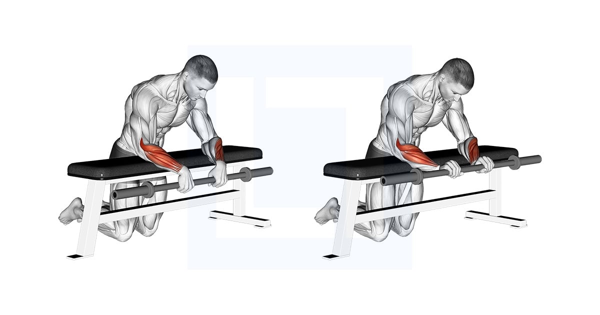 Flexion Des Poignets à la barre