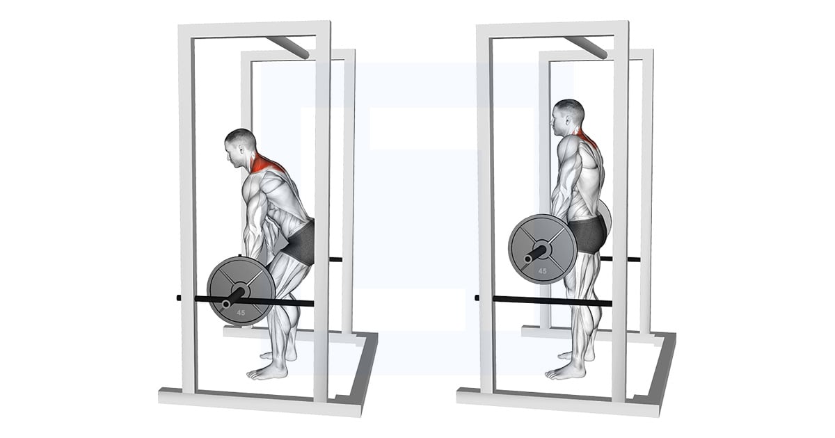 Shrug debout avec barre