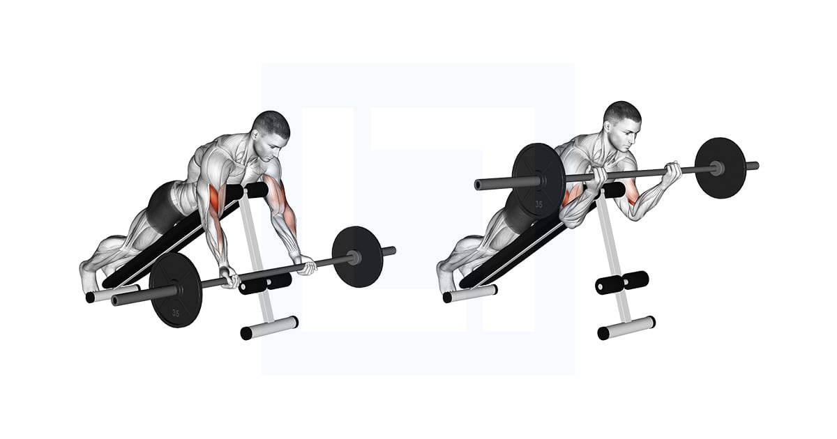 Curl incliné avec haltères