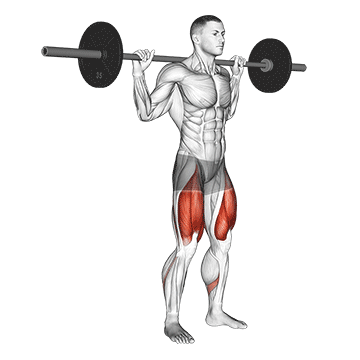 Quart de squat à la barre
