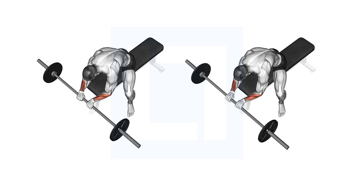 Curl Inversé du Poignet avec barre