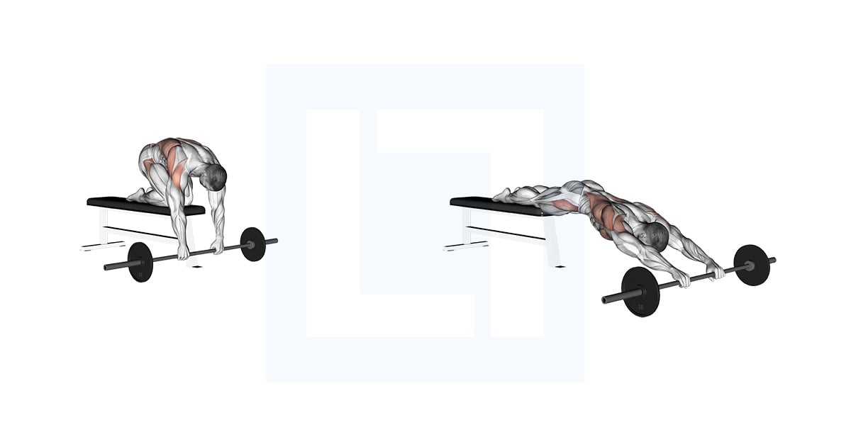 Barbell Rollout depuis le banc