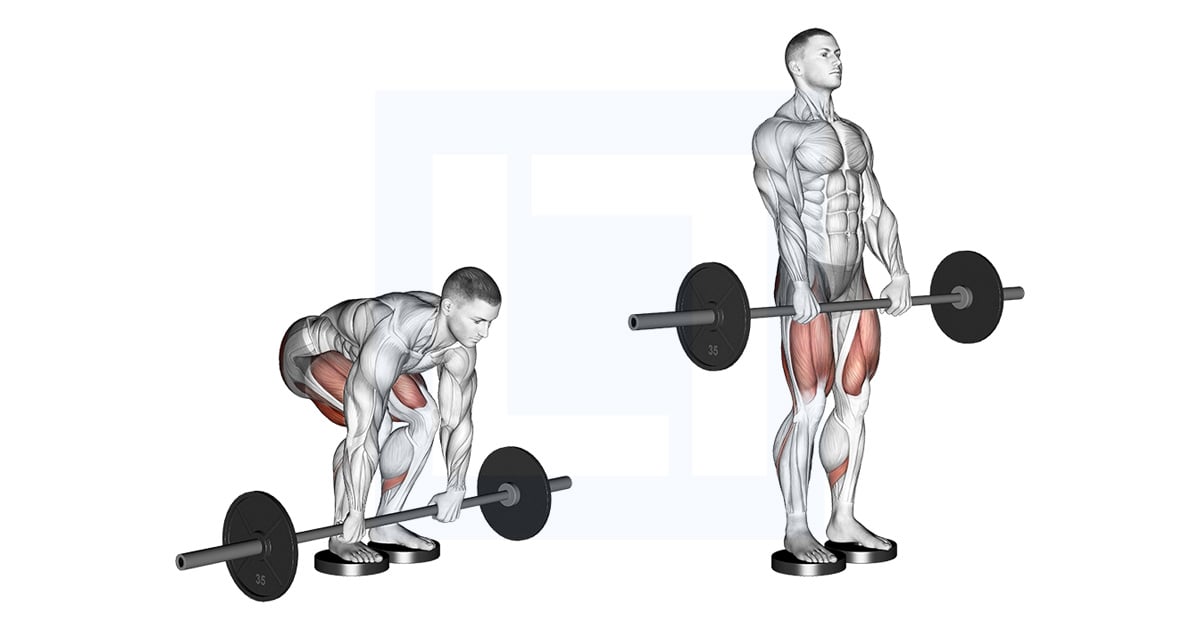 Barbell Romanian Soulevé de terre From Deficit