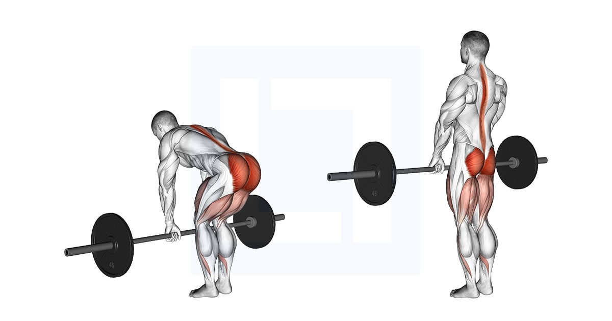 Barbell Romanian Soulevé de terre