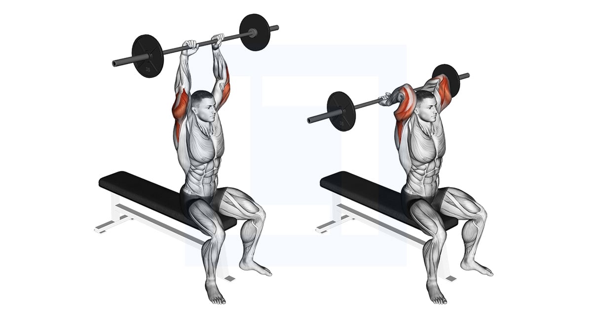 Barbell assis Overhead Triceps Extension