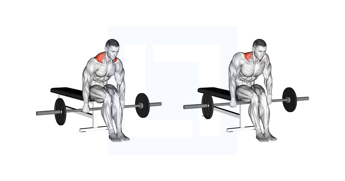 Barbell assis Shrug