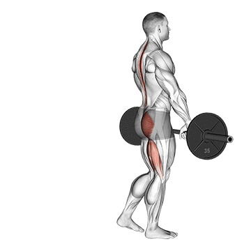 Barbell une jambe Soulevé de terre