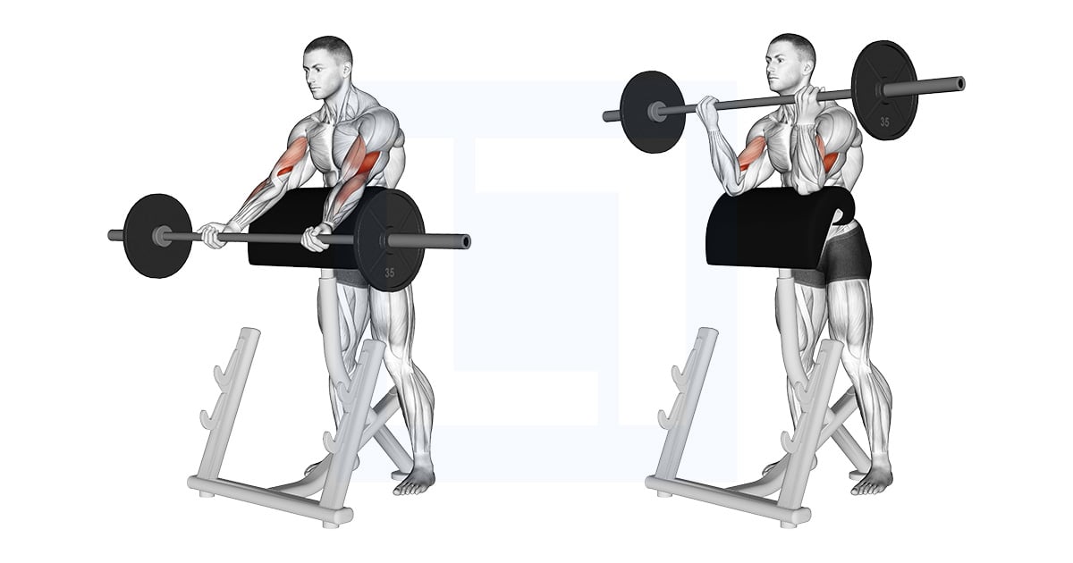 Barbell Spider Curl