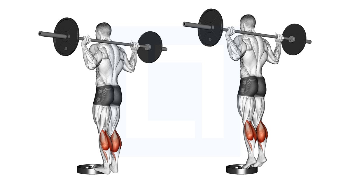 Barbell Standing Calf Raise