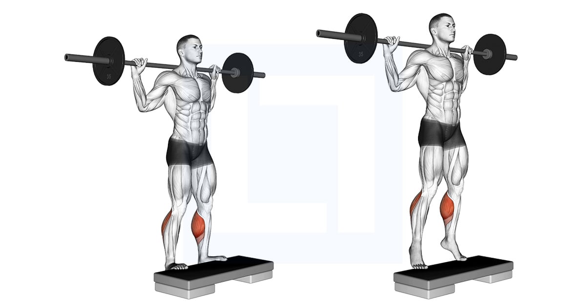 Barbell Standing Leg Calf Raise