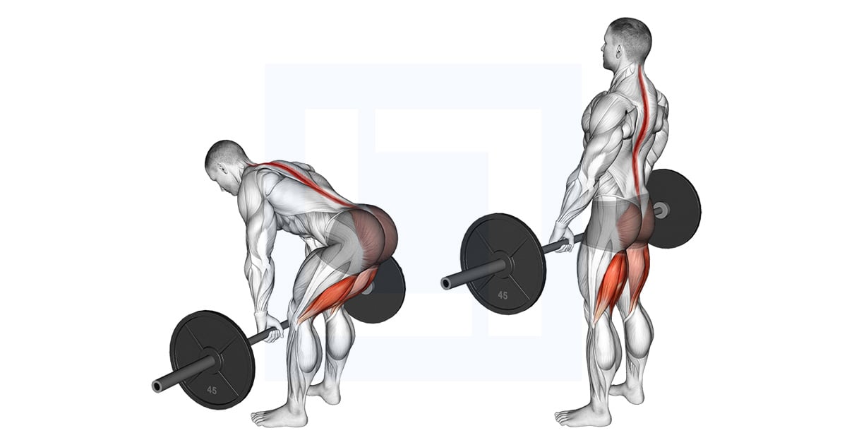 Barbell Straight Leg Soulevé de terre