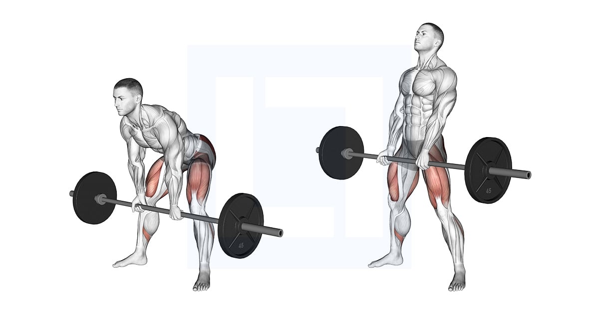 Barbell Sumo Romanian Soulevé de terre