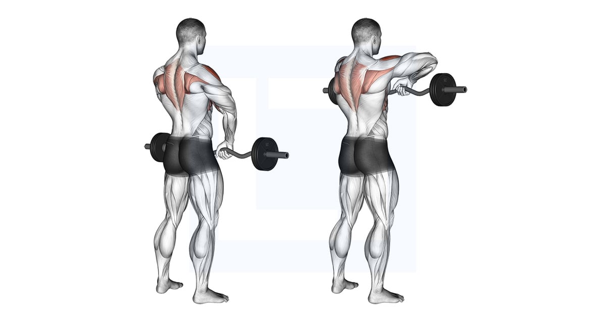 Barbell Upright Row