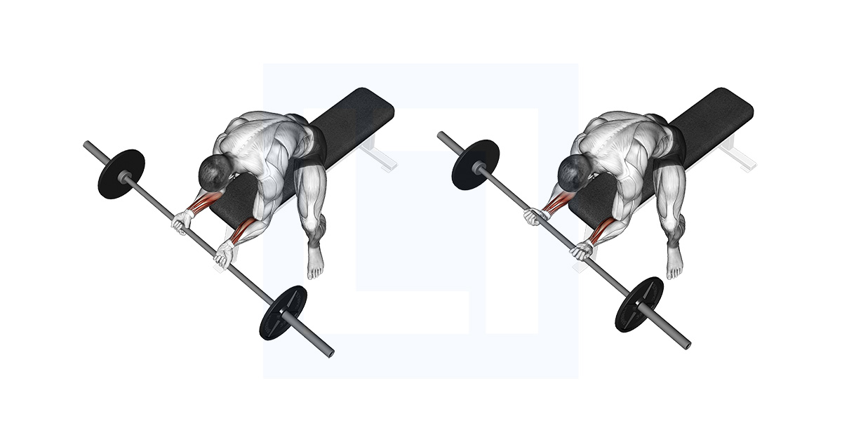 Barbell Wrist Curl