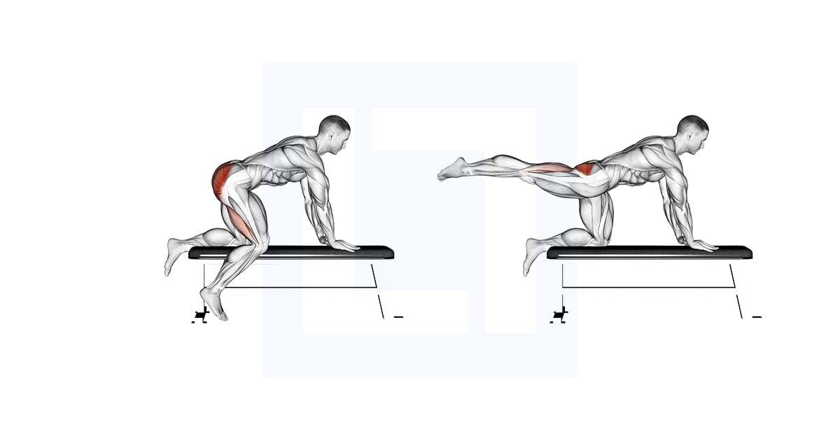 Bench Hip Extension