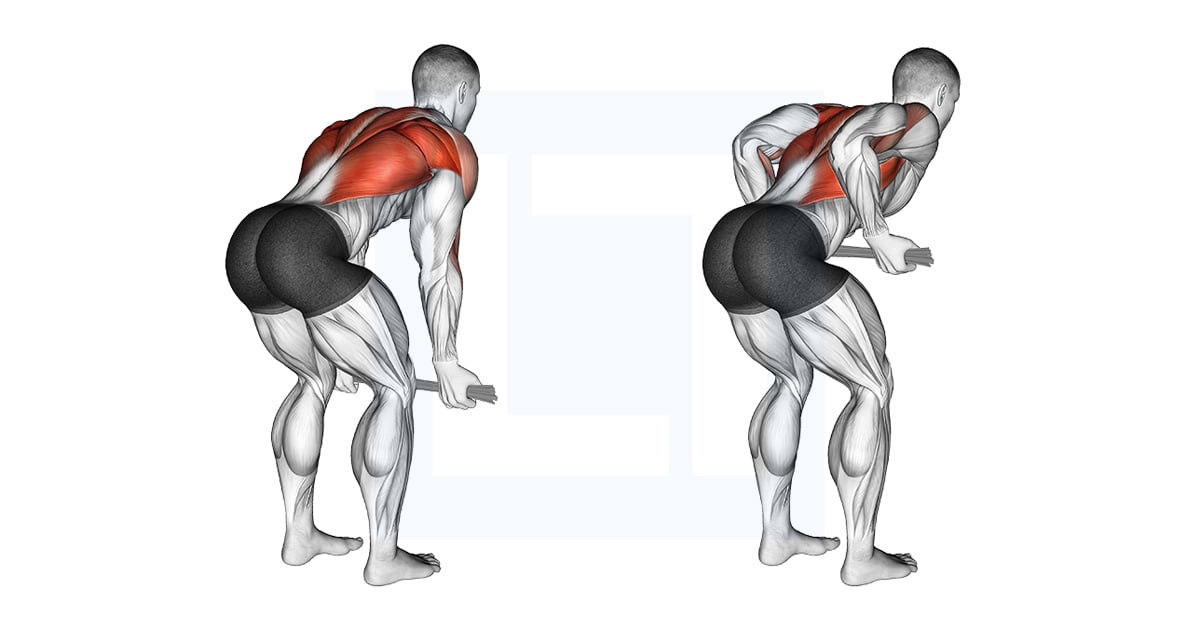 Bent Over Row With Towel