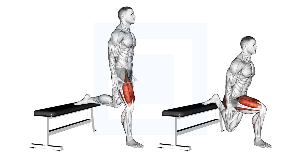 Split Squat Bulgare