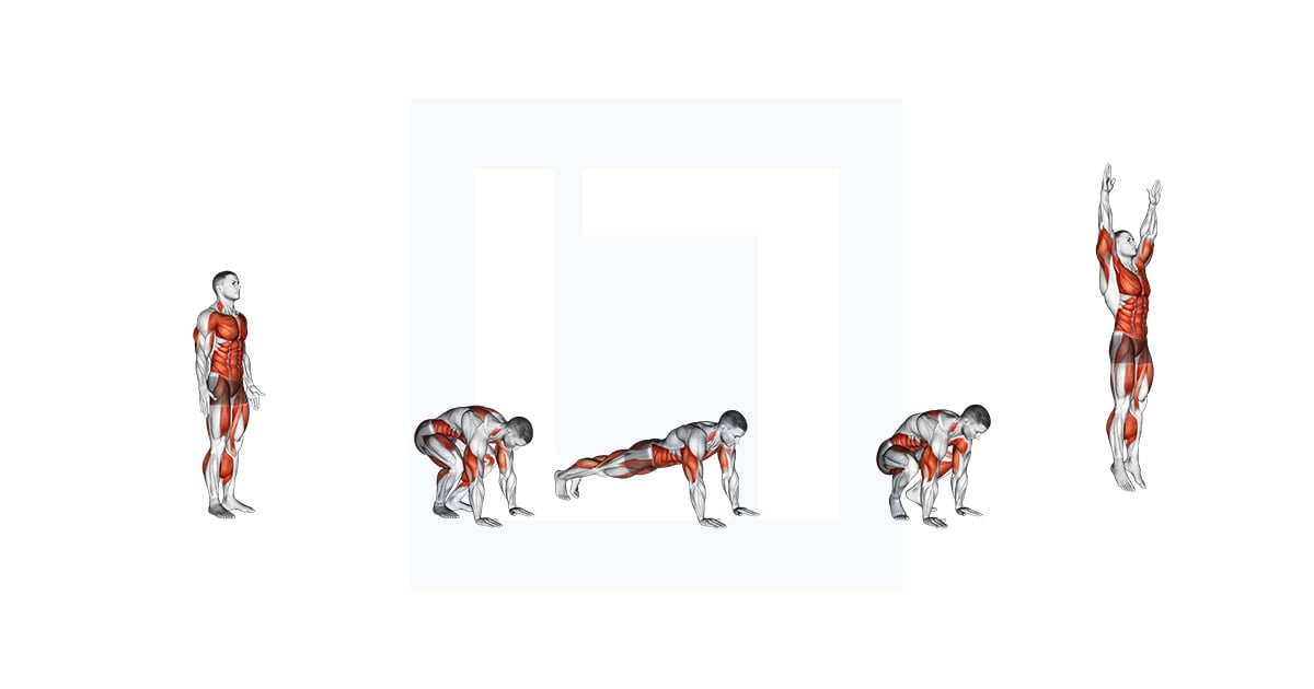 Burpee