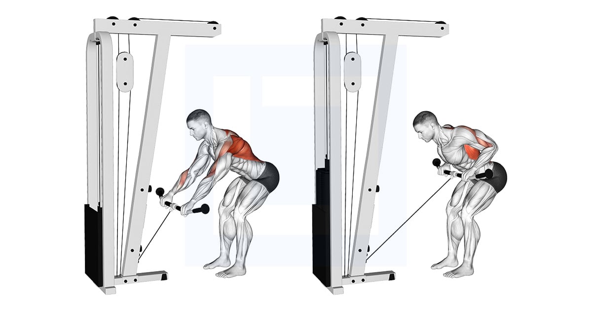Poulie Bent Over Rowing