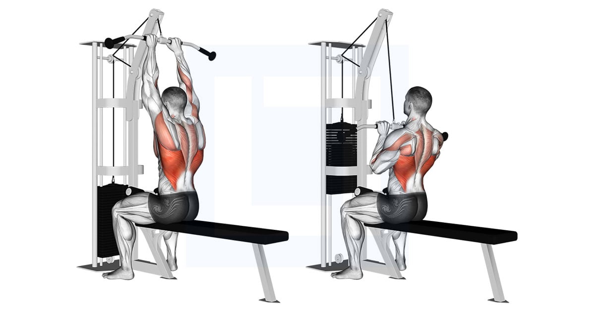 Poulie Close Grip Front Lat Pulldown
