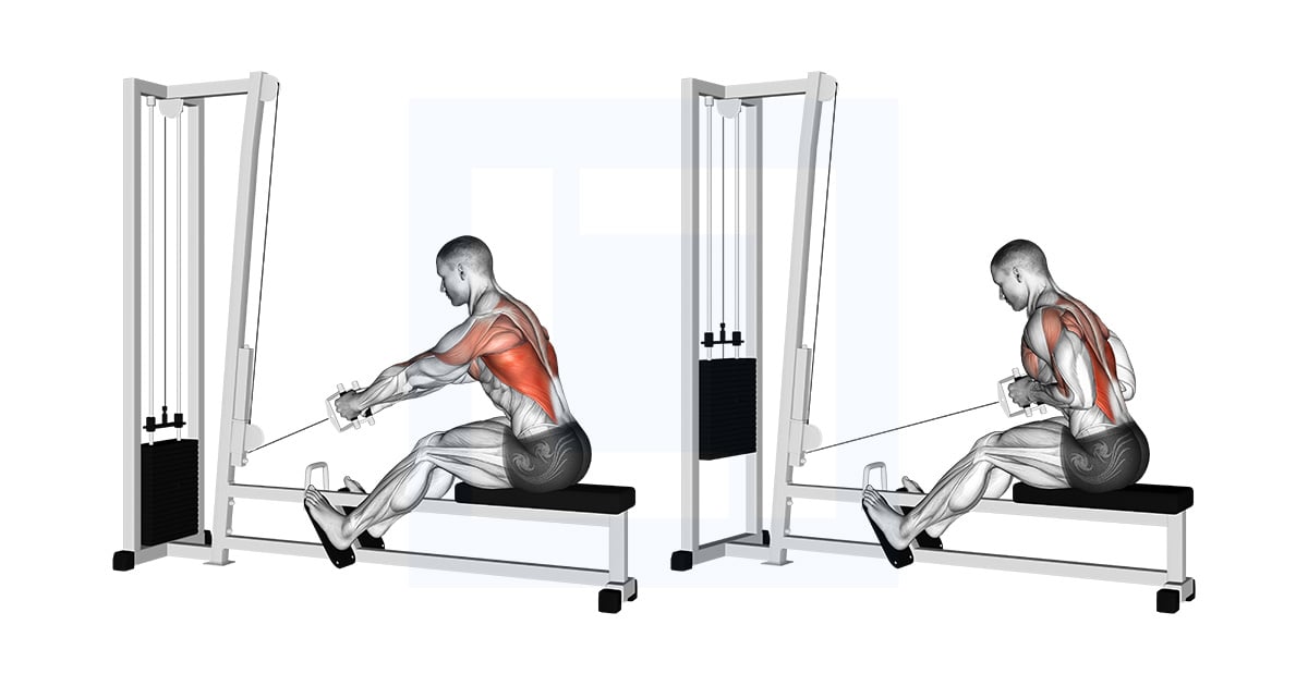 Poulie Elevated Rowing