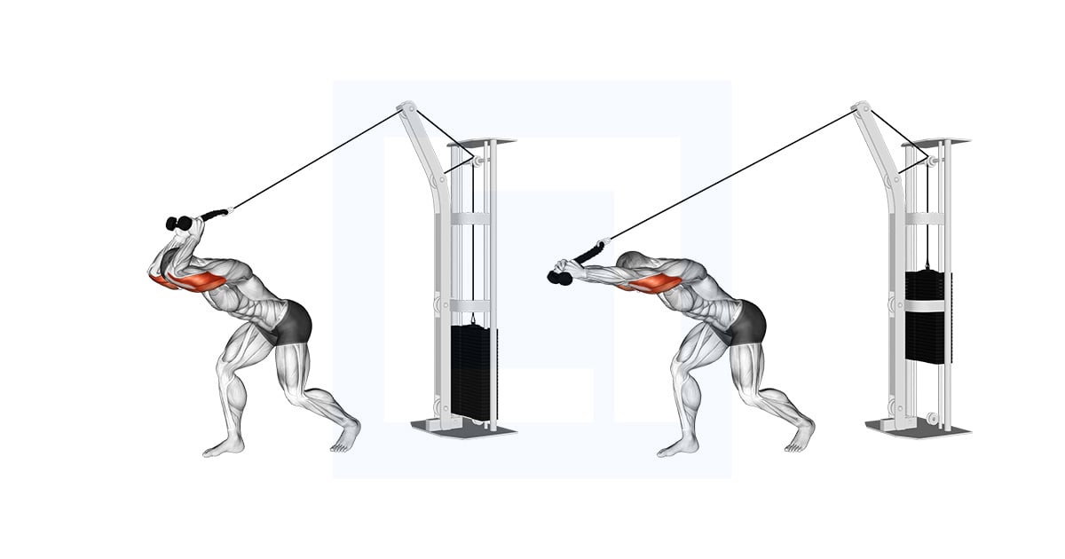 Poulie High Pulley Overhead Tricep Extension