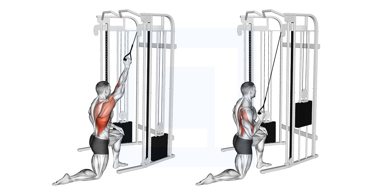 Poulie Kneeling One Arm Lat Pulldown