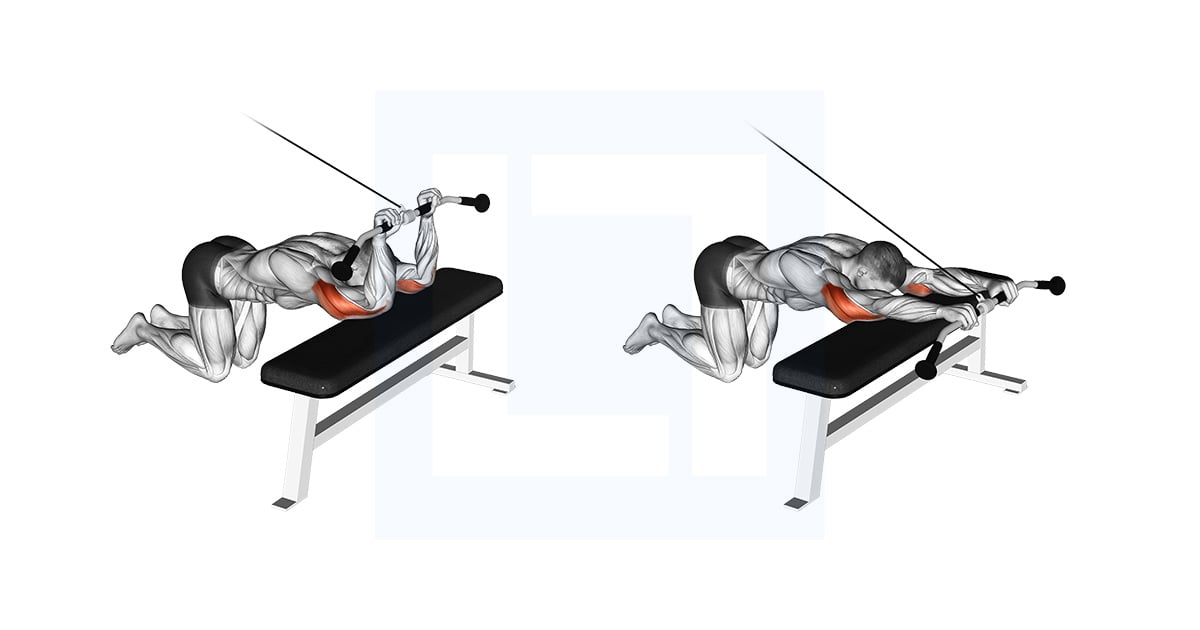 Poulie Kneeling Triceps Extension