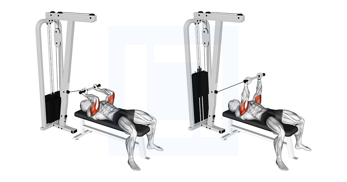 Poulie Allongé Triceps Extension