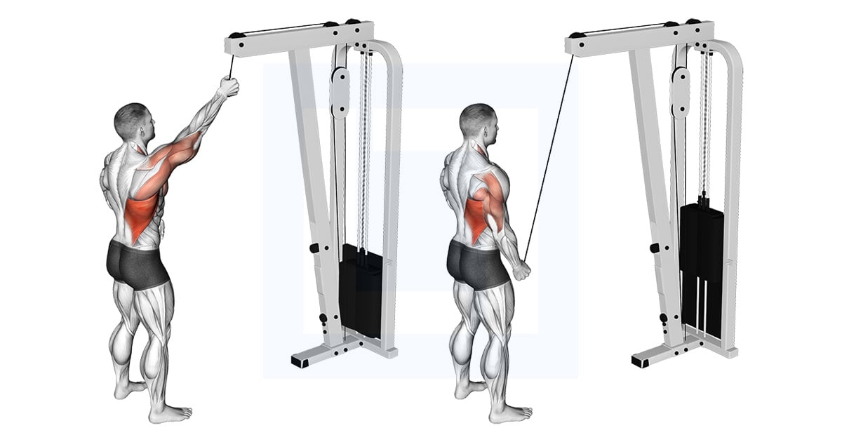 Poulie One Arm Pulldown