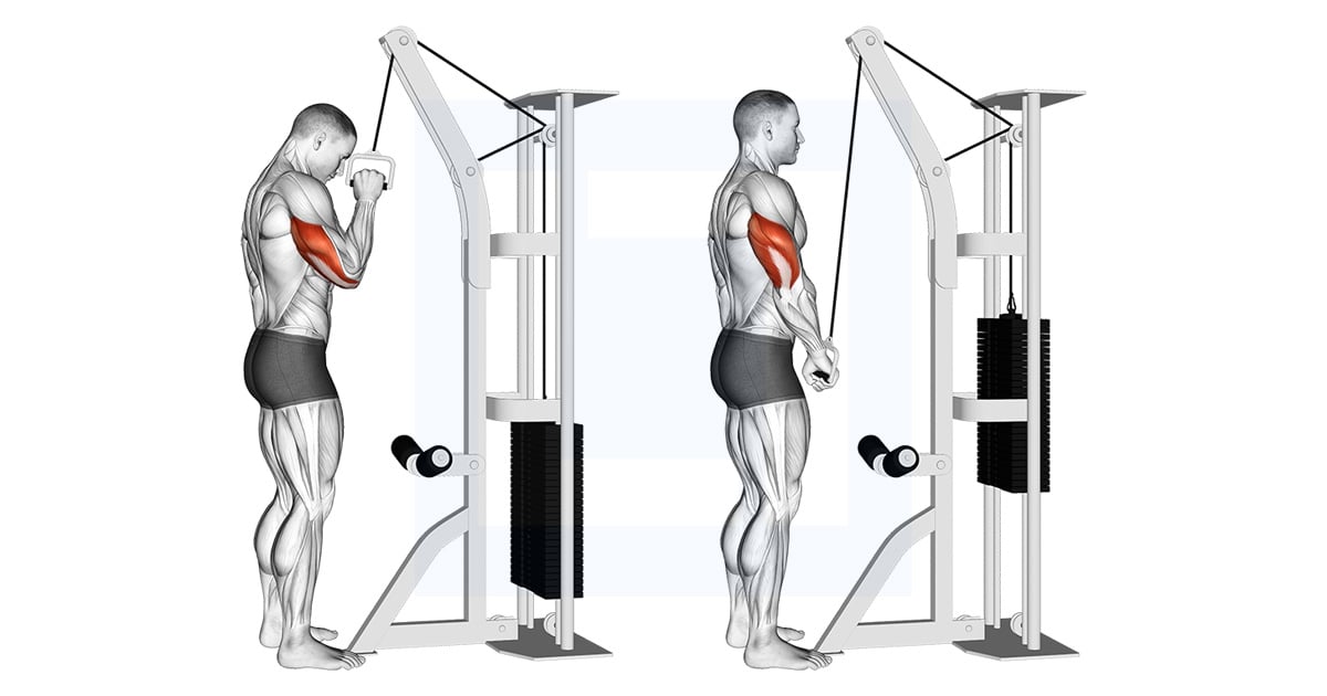 Poulie One Arm Tricep Pushdown