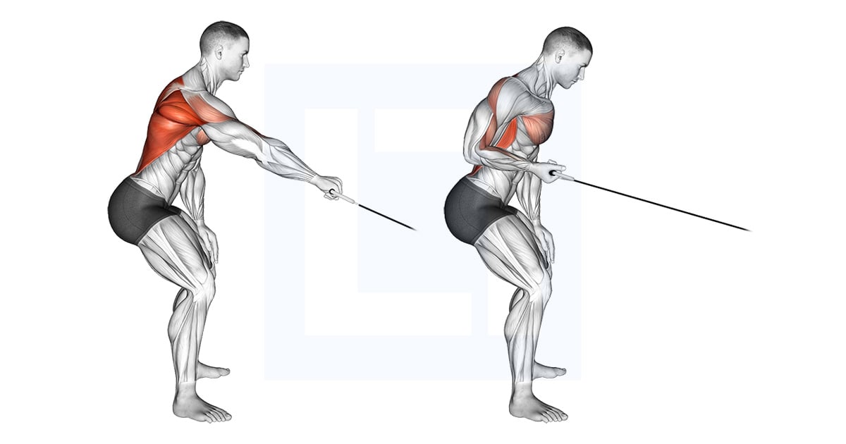 Poulie Palm Rotational Rowing