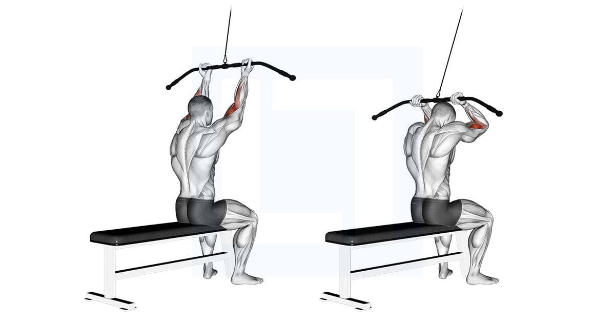 Poulie Pulldown Bicep Curl