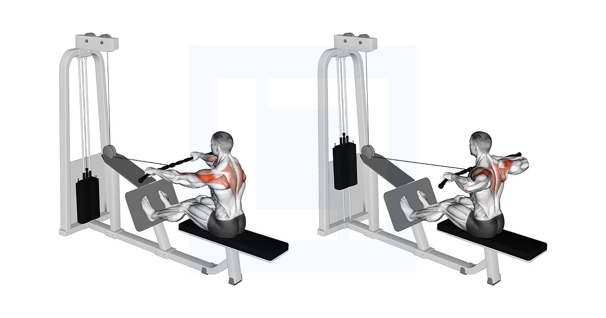 Poulie Rear Delt Rowing
