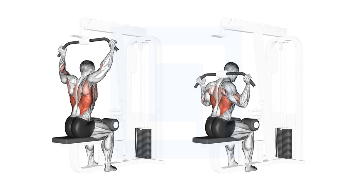 Poulie Rear Pulldown