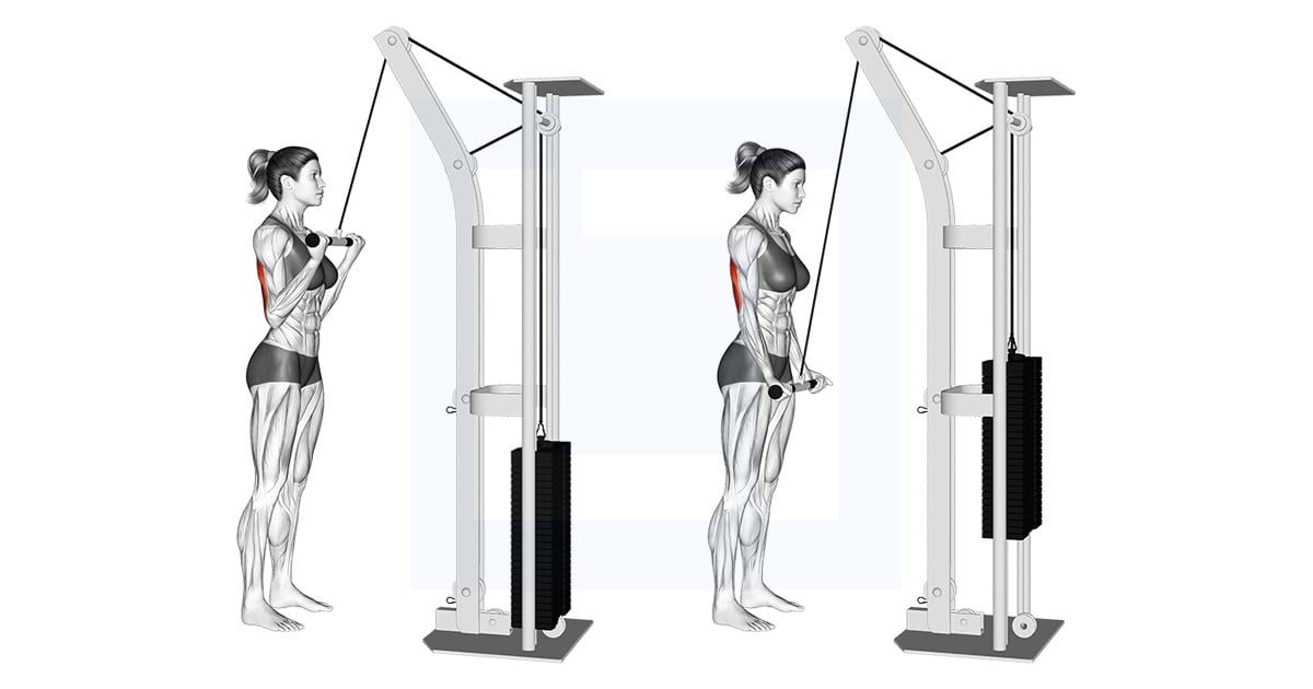 Poulie Reverse Grip Pushdown