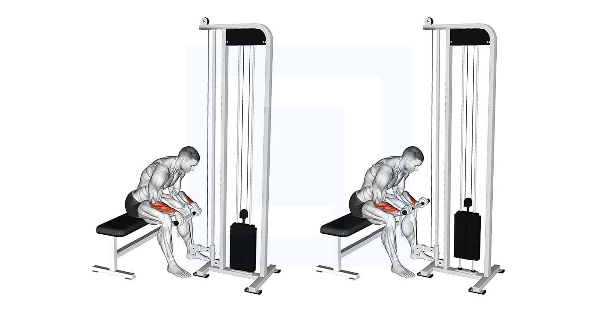 Poulie Reverse Wrist Curl