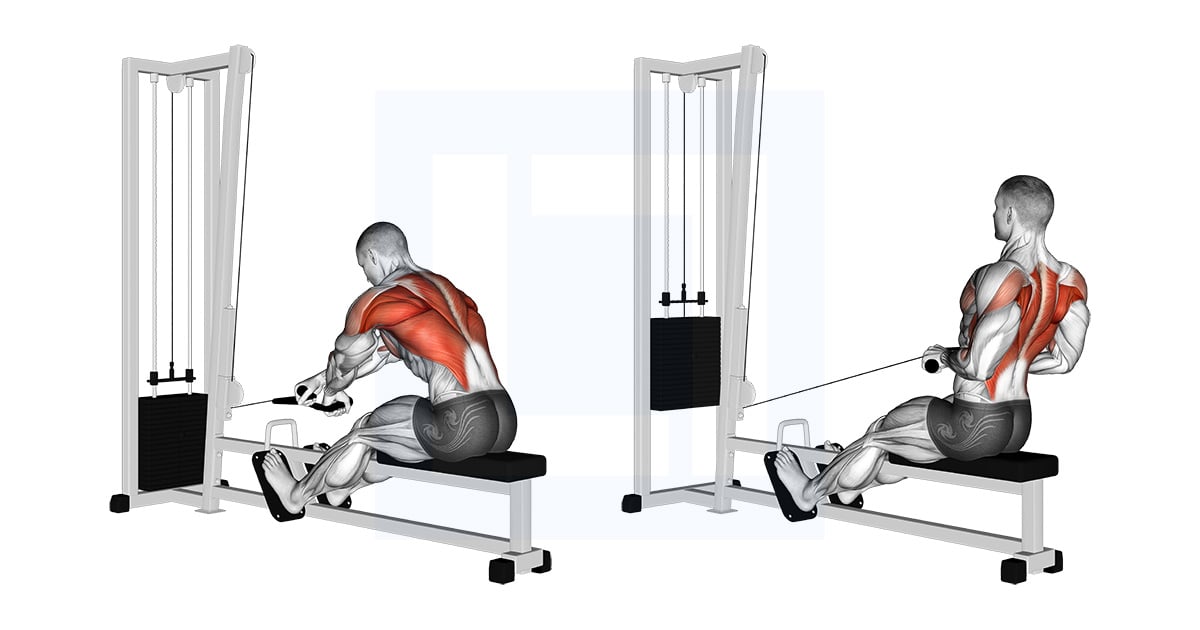 Poulie Rope Crossover Assis Rowing