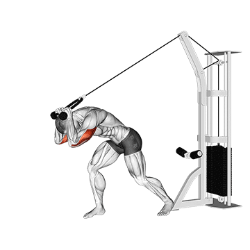 Poulie Rope High Pulley Overhead Tricep Extension