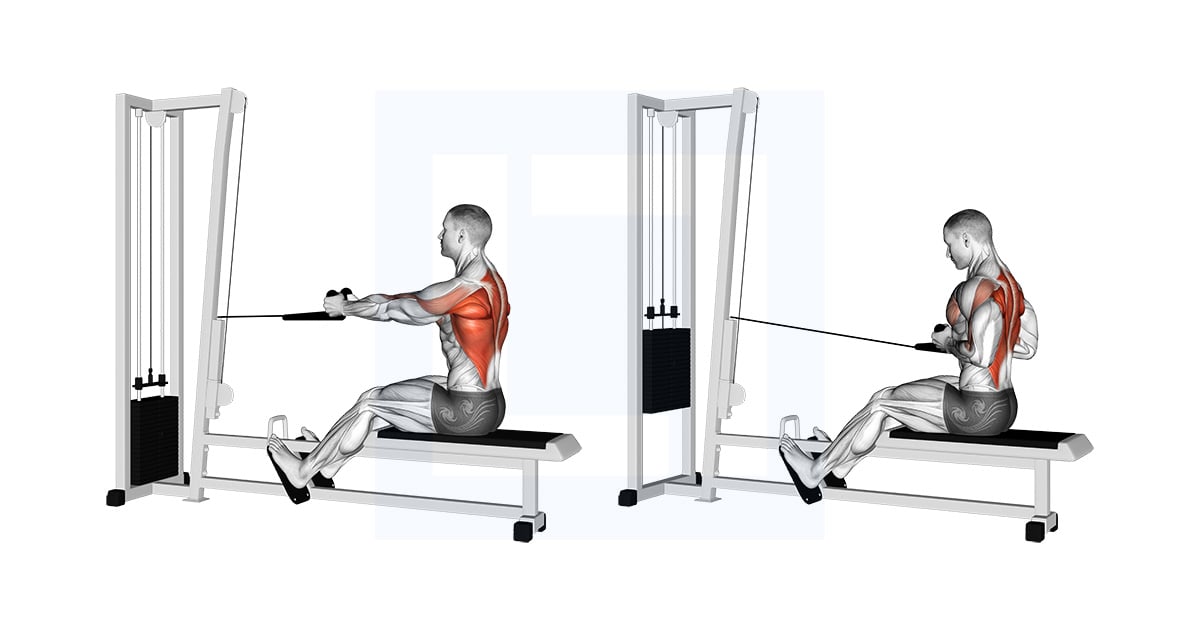 Poulie Rope Assis Rowing